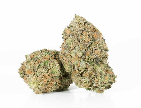 Tom Ford 1 Tom Ford 1