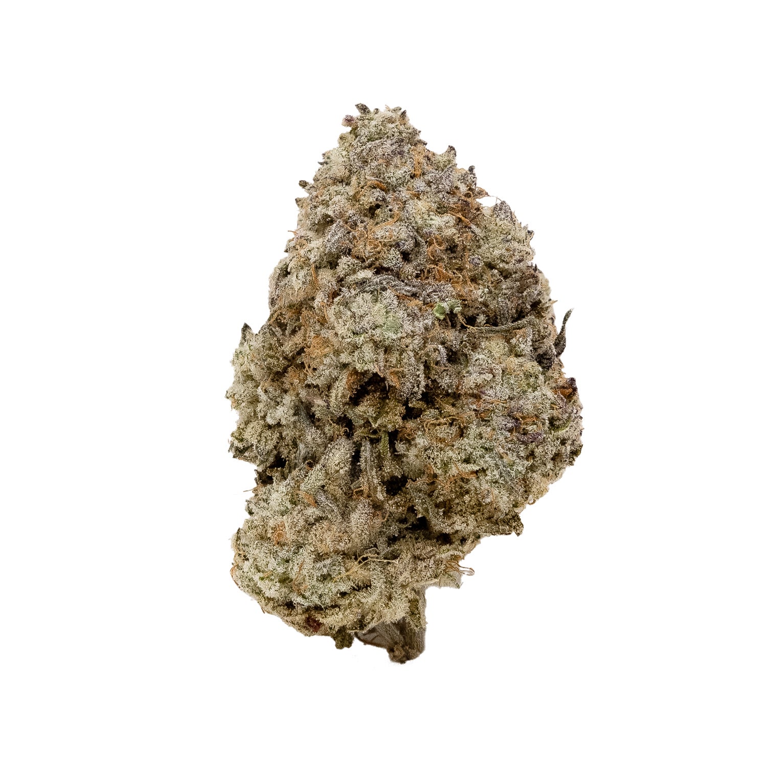 WhiteLightning-03