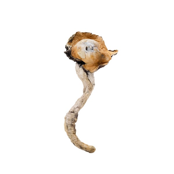 Cuban-Amazeballs-01 Cuban-Amazeballs-01