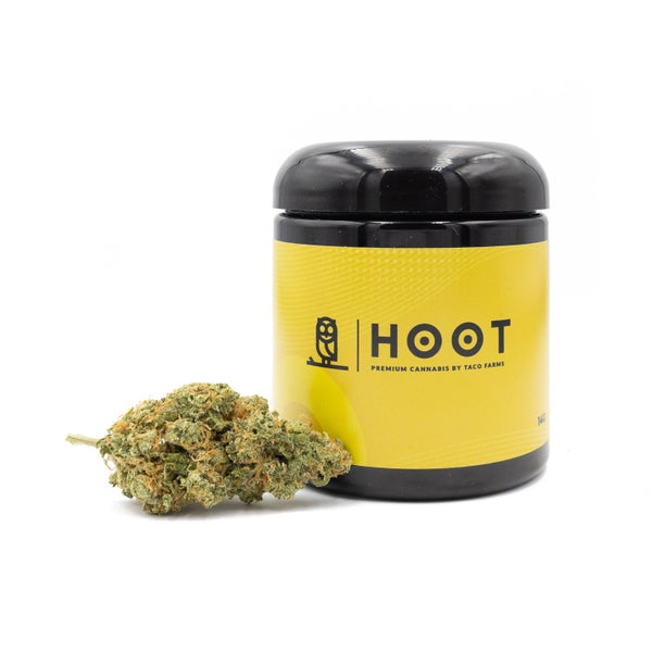 Hoot (2 of 9)