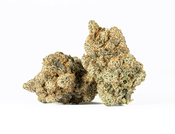 #4 MAC8 – 1 #4 MAC8 – 1