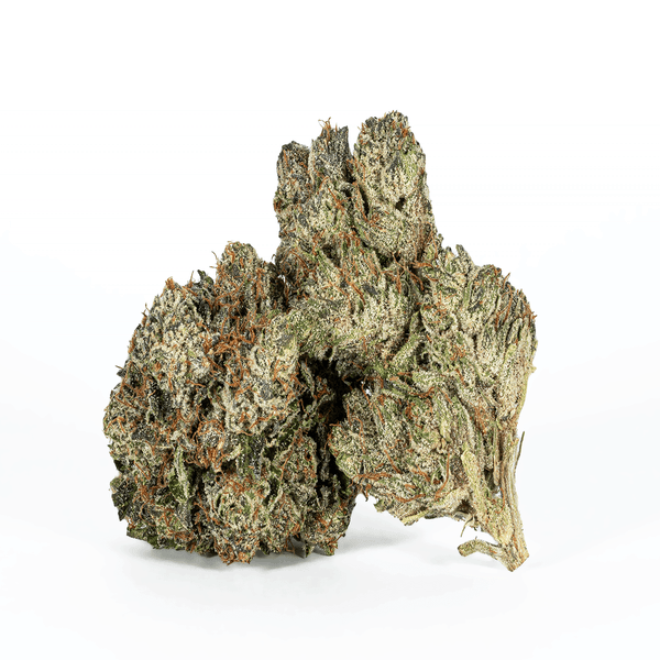 ASTRO PINK (AAAA) – 1