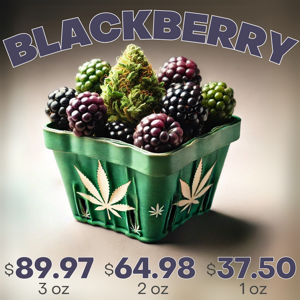 BLACKBERRY BLACKBERRY