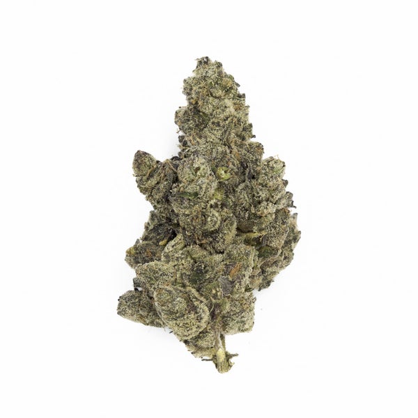 Biscotti Kush Mints (4 of 6)
