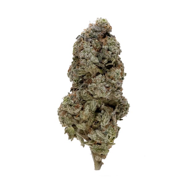 DeathChocolateCookies-03