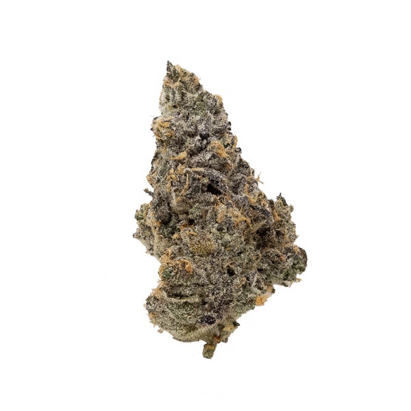 GummyBuns-FunBuds-03