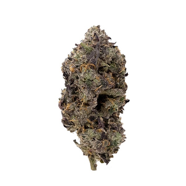 JurassicPurple-JungleRidge-03 JurassicPurple-JungleRidge-03