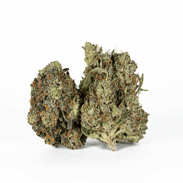 KING LOUIS XIII (AAA+) – 1