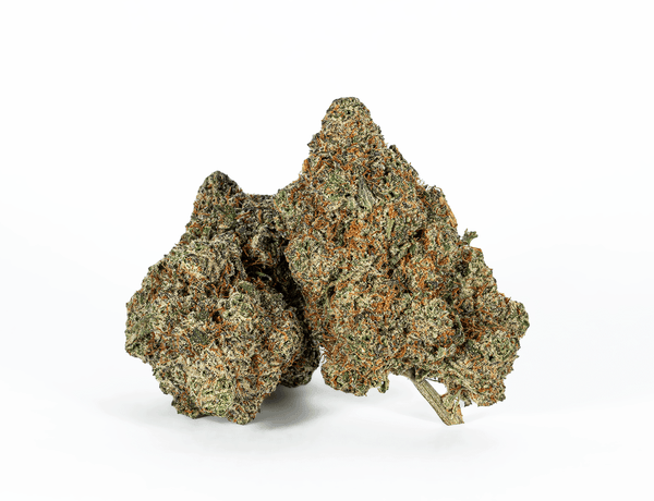 PINK MONET (AAAA) – 1 PINK MONET (AAAA) – 1