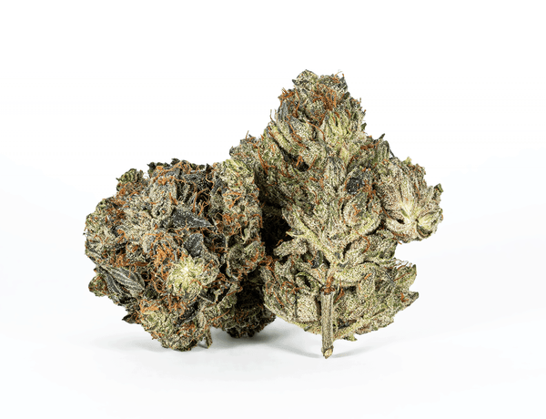 PUSSY PINK (AAAA) – 1 PUSSY PINK (AAAA) – 1