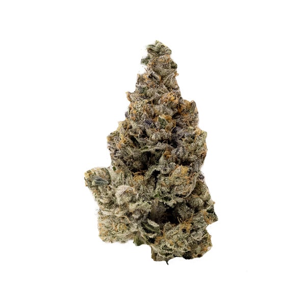 RogiOG-Albatross-03