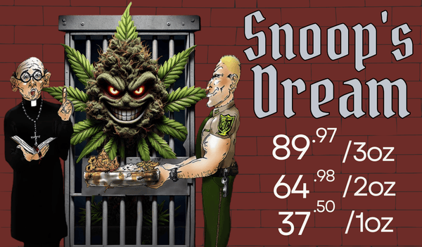 Snoop’s Dream (1366 x 798 px) Snoop’s Dream (1366 x 798 px)