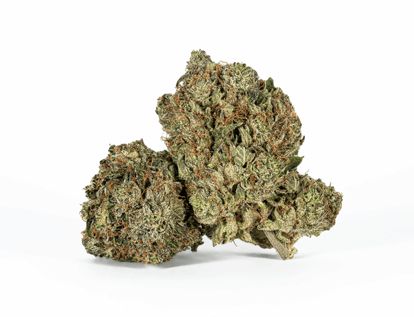 ULTRA PINK (AAA+) – 1 ULTRA PINK (AAA+) – 1