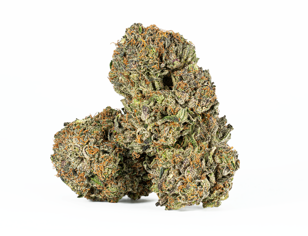 #9 rock2 – 1 #9 rock2 – 1