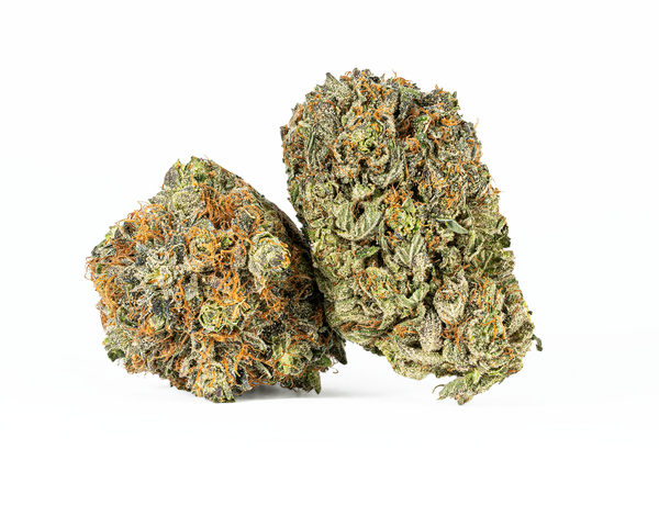 #9 rock4- 1 #9 rock4- 1