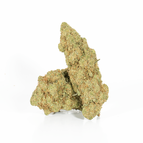 Gorilla Fuel 2