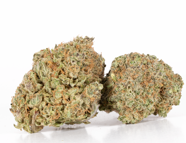 Pina Colada 2 Pina Colada 2