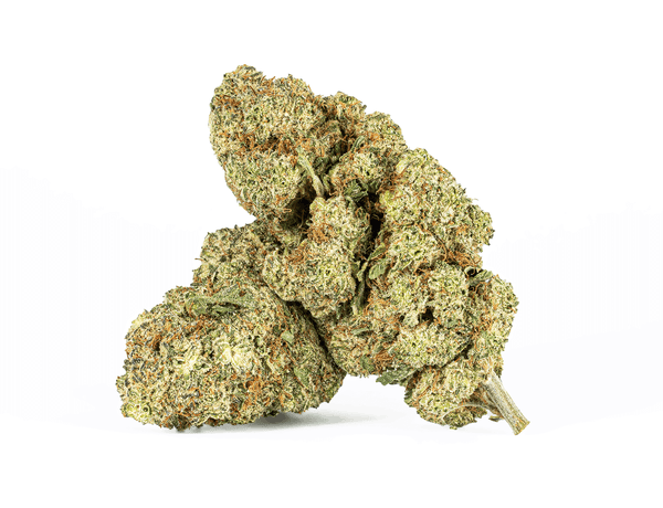 #9 Pinkberry2- 1 #9 Pinkberry2- 1