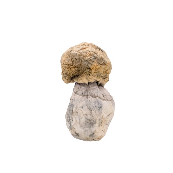 Avalanche-01 Avalanche-01