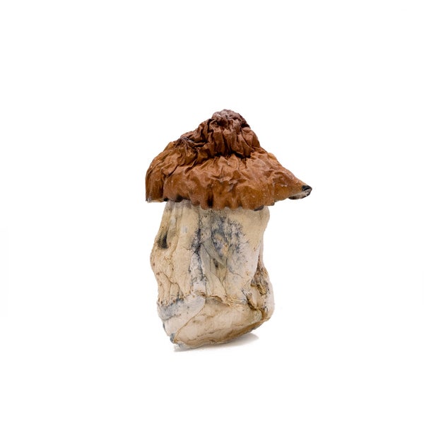 BlueLouie-01 BlueLouie-01