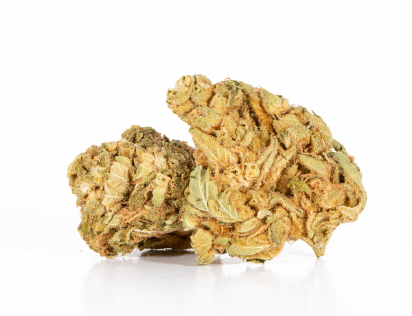 Hash Plant 2 Hash Plant 2