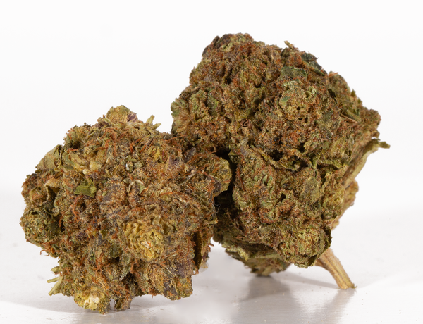 Island Sweet Skunk 2 Island Sweet Skunk 2