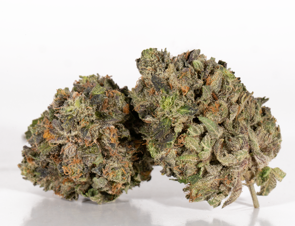 MK-Ultra-2-1.png MK-Ultra-2-1.png