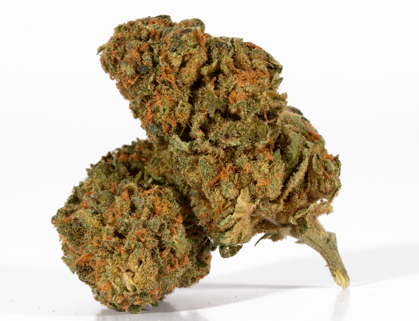 Obama Kush 2 – 1 – a Obama Kush 2 – 1 – a