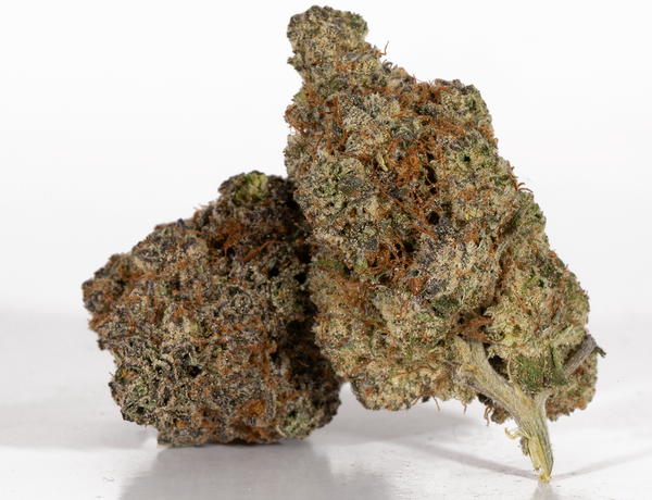 Phat Gorilla 2 Phat Gorilla 2