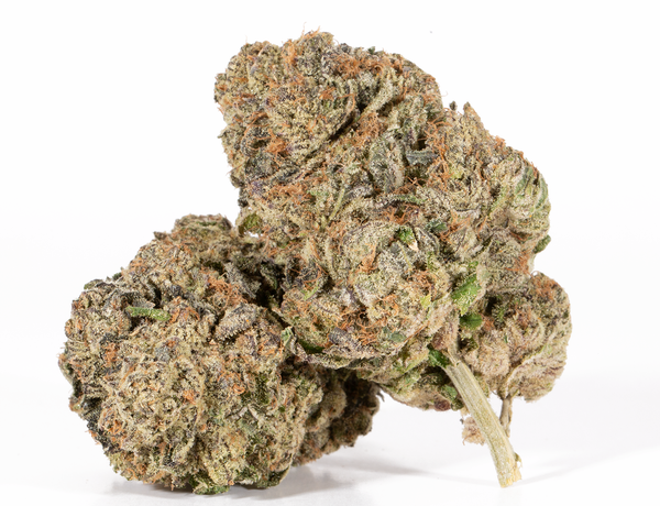 Purple Monkey Balls 2 Purple Monkey Balls 2