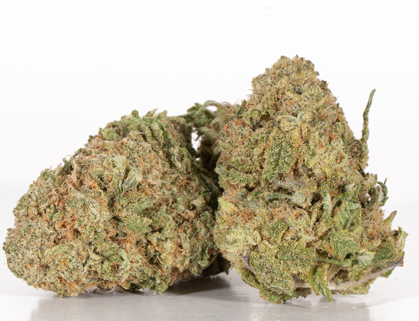 Sherbert 2 – 1 – a Sherbert 2 – 1 – a