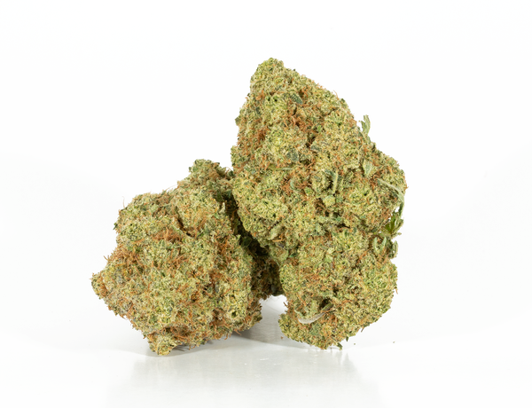 Cheetah Piss 2a Cheetah Piss 2a