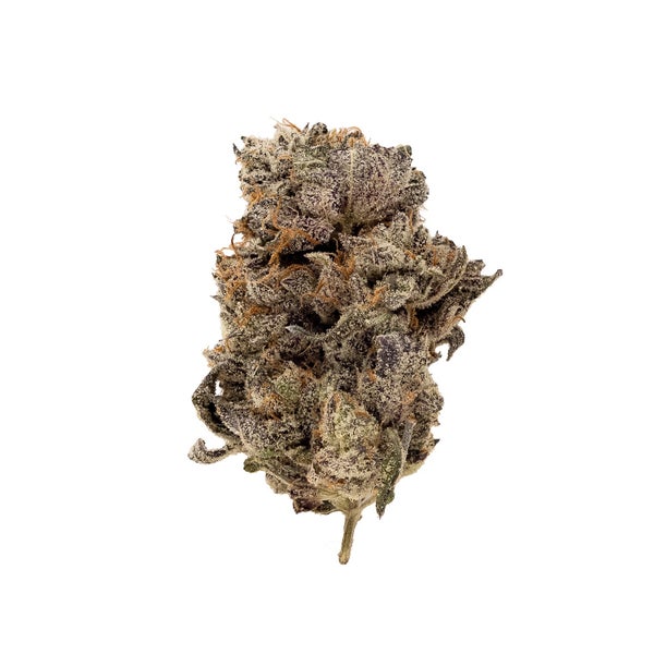 BlackTruffle-03 BlackTruffle-03