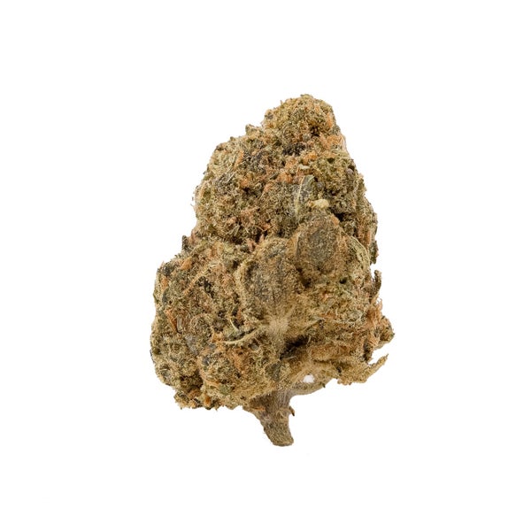 GirlScoutCookies-PeopleChoice-03 GirlScoutCookies-PeopleChoice-03
