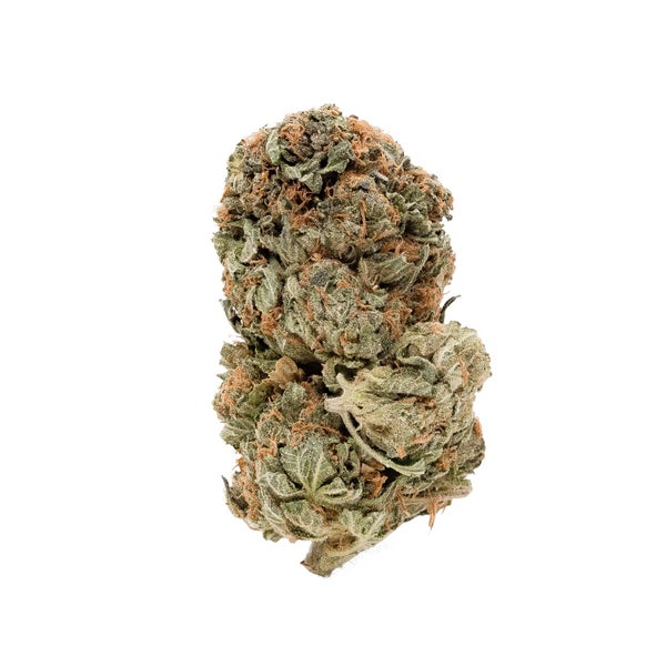 Kraken-PeoplesChoice-03 Kraken-PeoplesChoice-03