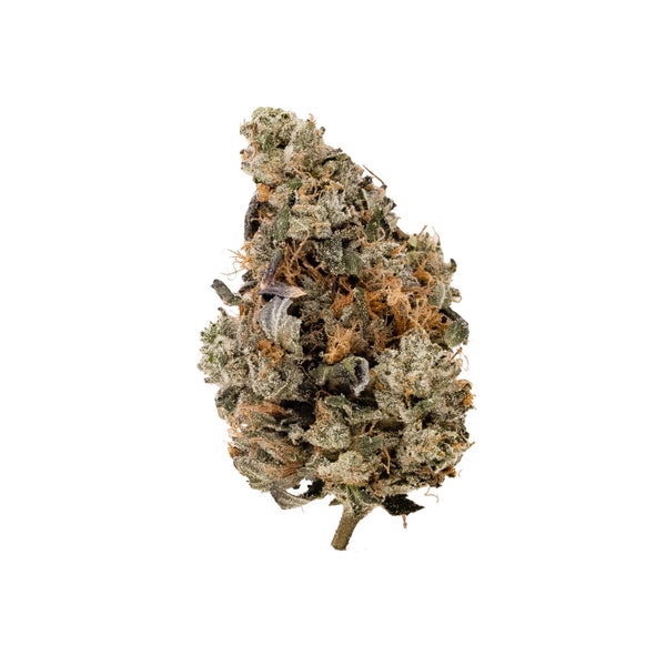 PinkDeath-LuckyFarms-03 PinkDeath-LuckyFarms-03