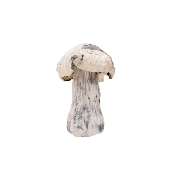 AtlanticTreasureCoast-02 AtlanticTreasureCoast-02