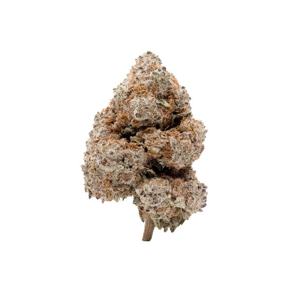 BlackDomino-LuckyFarms-03 BlackDomino-LuckyFarms-03