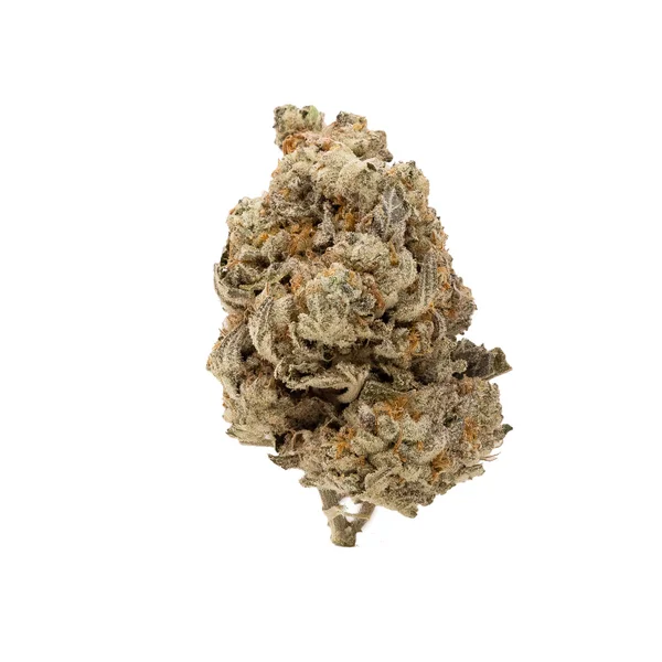 CakeBatter-LuckyFarms-03 CakeBatter-LuckyFarms-03