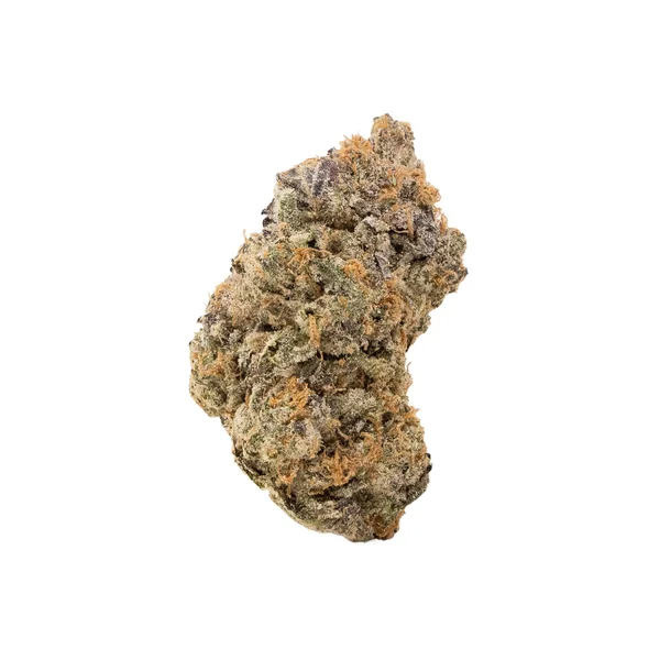 Scotty2Hotty-03 Scotty2Hotty-03