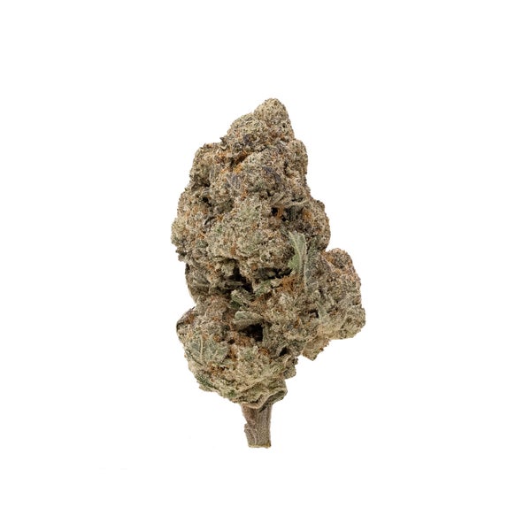 DonkeyGrease-03 DonkeyGrease-03