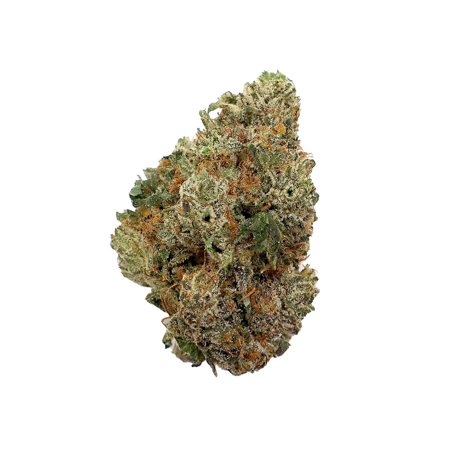 Albatross-Gucci-Pink-01