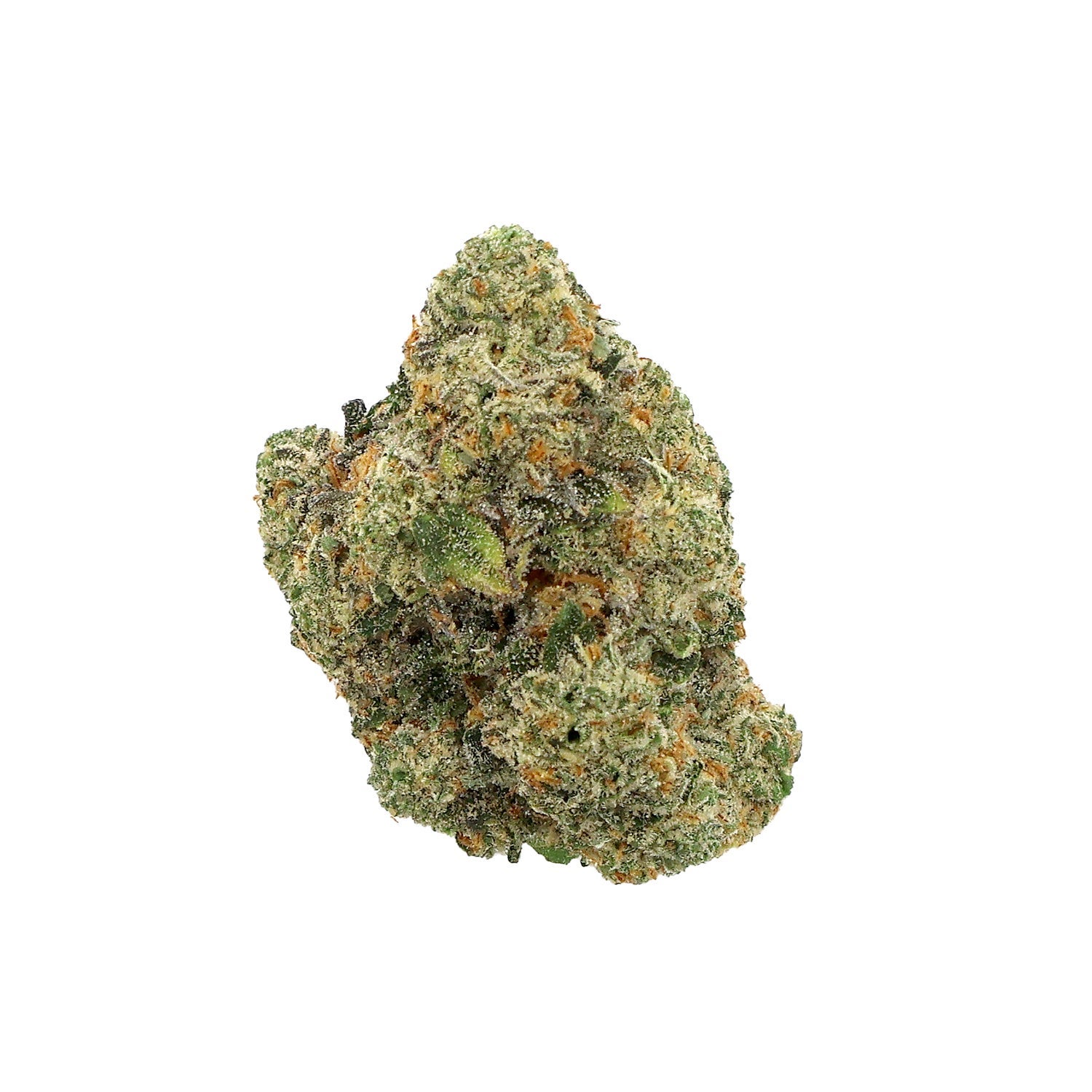 Albatross-Permanent-Marker-01 Albatross-Permanent-Marker-01