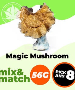 Magic Mushroom (56G) - Mix & Match - Pick Any 8