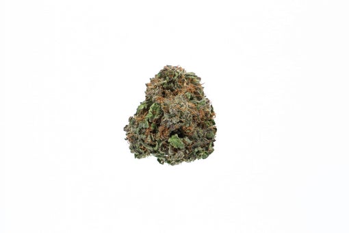 PLAT GSC cannabis strain canada buy online