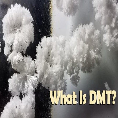 What is DMT