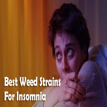 Best Weed Strains For Insomnia