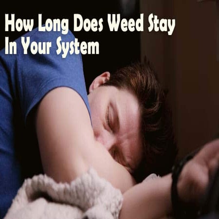 How Long Does Weed Stay In Your System