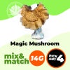 Magic Mushroom (14G) - Mix & Match - Pick Any 4