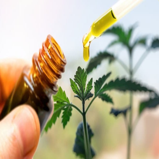 Where To Buy CBD Oil